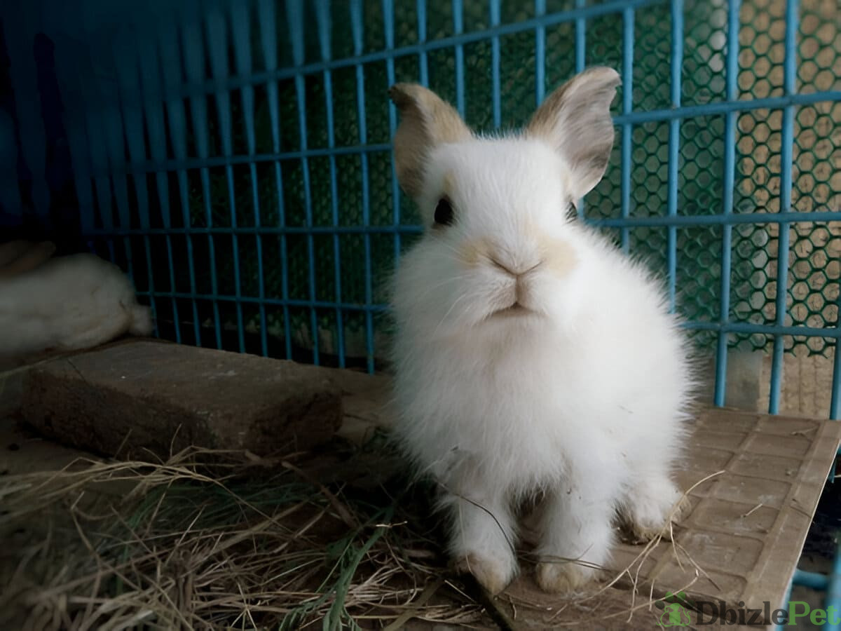 [GetPaidStock_com]-67a084c25b5ae