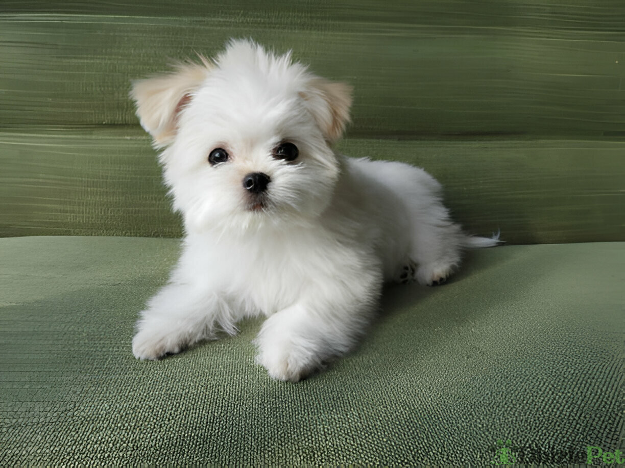 [GetPaidStock_com]-679b6de15991d