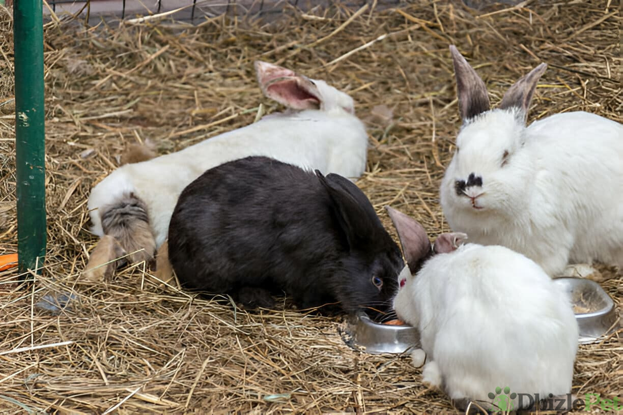 [GetPaidStock_com]-67a081d60f377