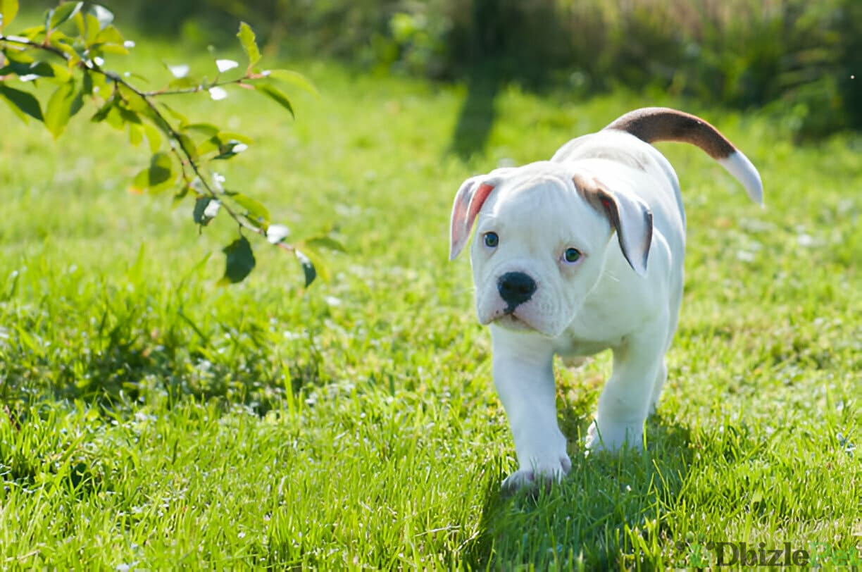 [GetPaidStock_com]-67dd6364e54b1