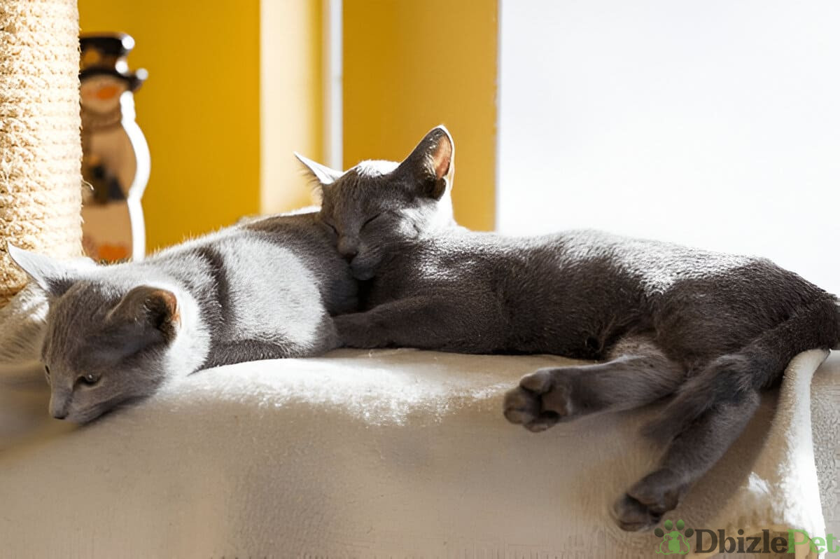 [GetPaidStock_com]-67a1ea2de1b63