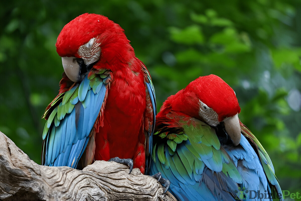 [GetPaidStock_com]-679cb6cfb0f5b