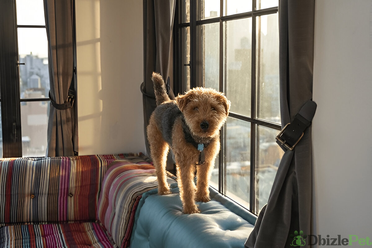 [GetPaidStock_com]-6793800b9bb6a