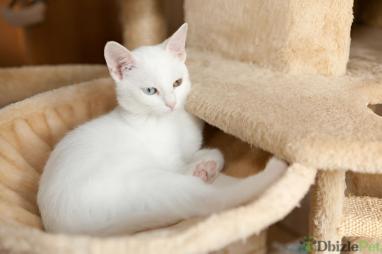 [GetPaidStock_com]-679c6854b4761