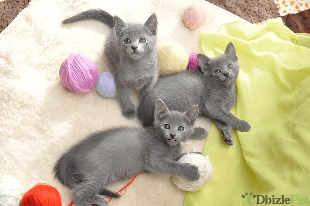 [GetPaidStock_com]-67a1e95ae269e