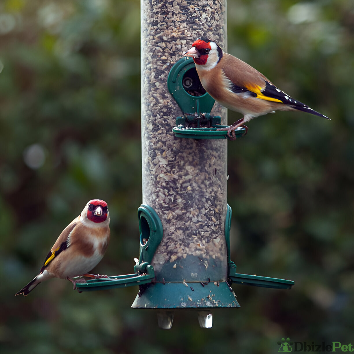 [GetPaidStock_com]-679cb94f11dd3