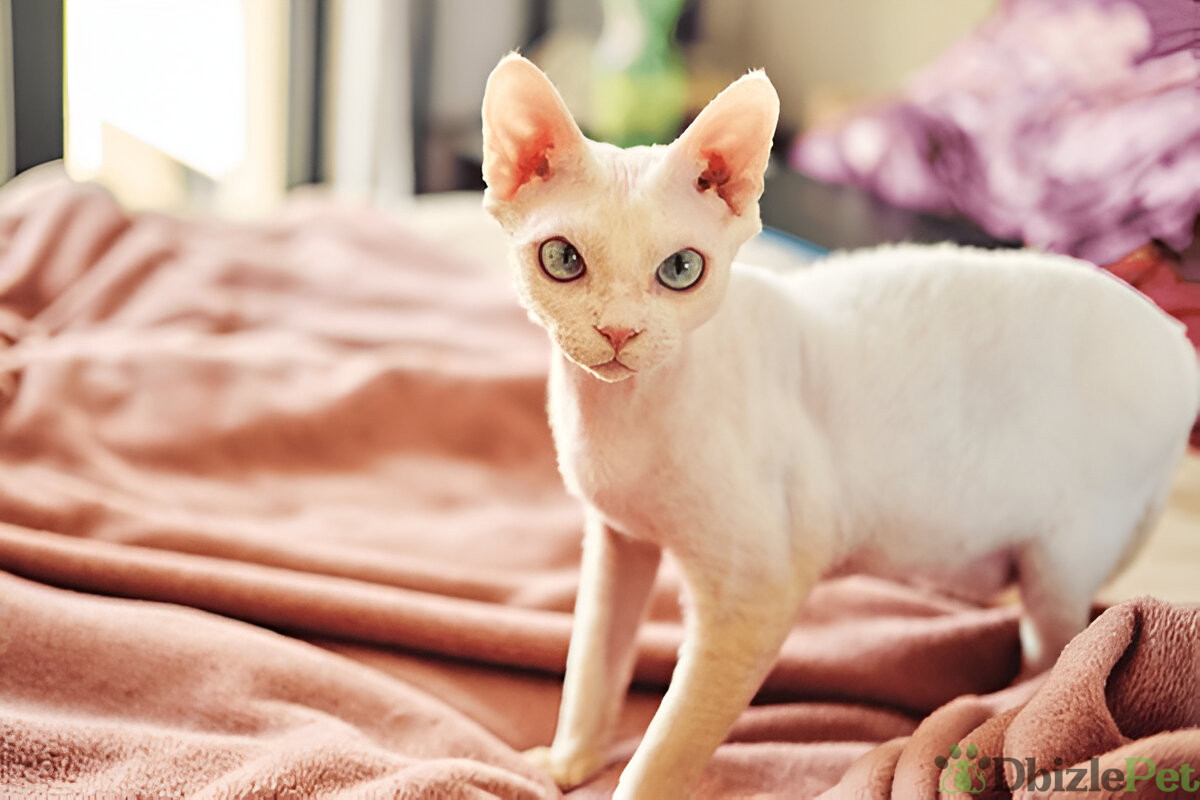 [GetPaidStock_com]-679c7ee403d4e