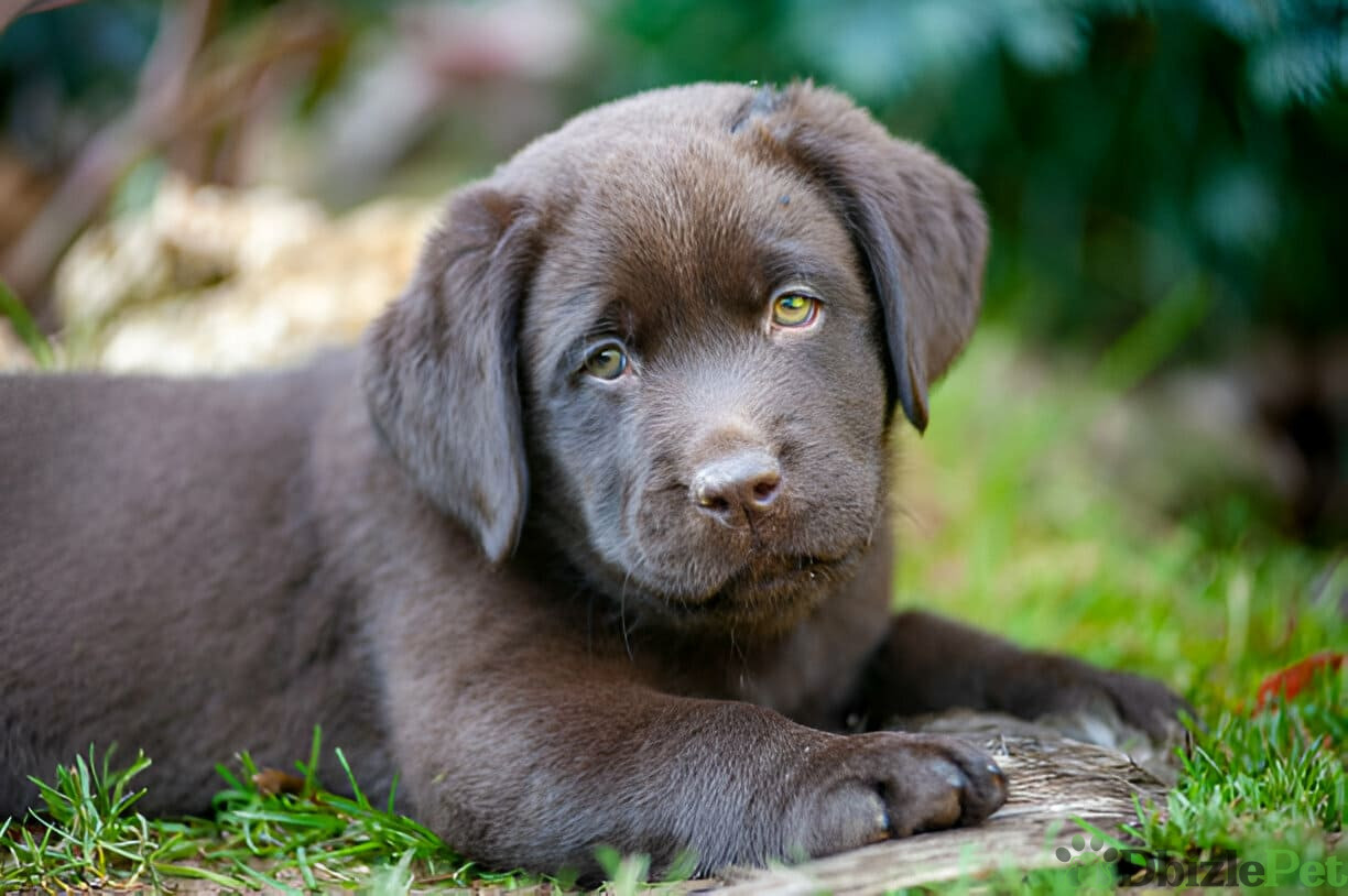 [GetPaidStock_com]-679b620a3a57e