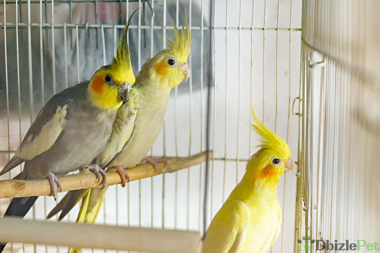 [GetPaidStock_com]-679cc6de91354