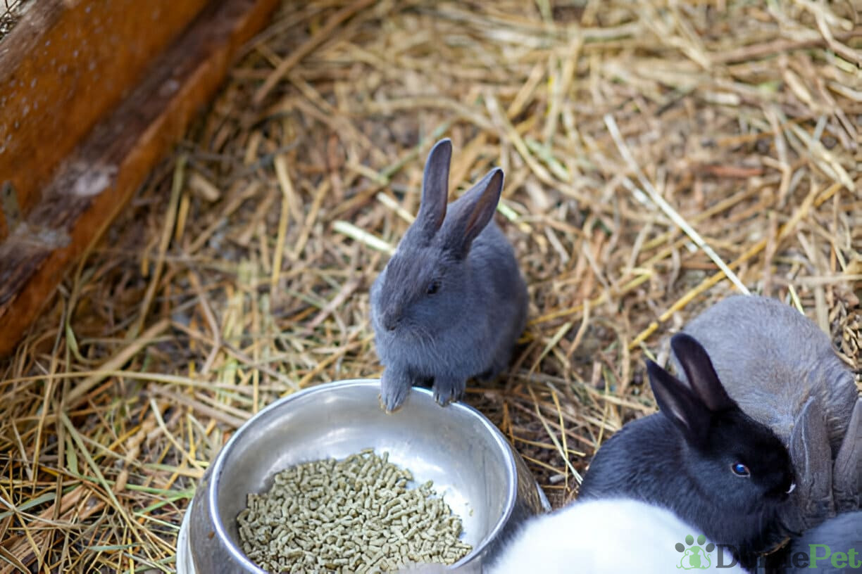 [GetPaidStock_com]-67a08065bbb9f