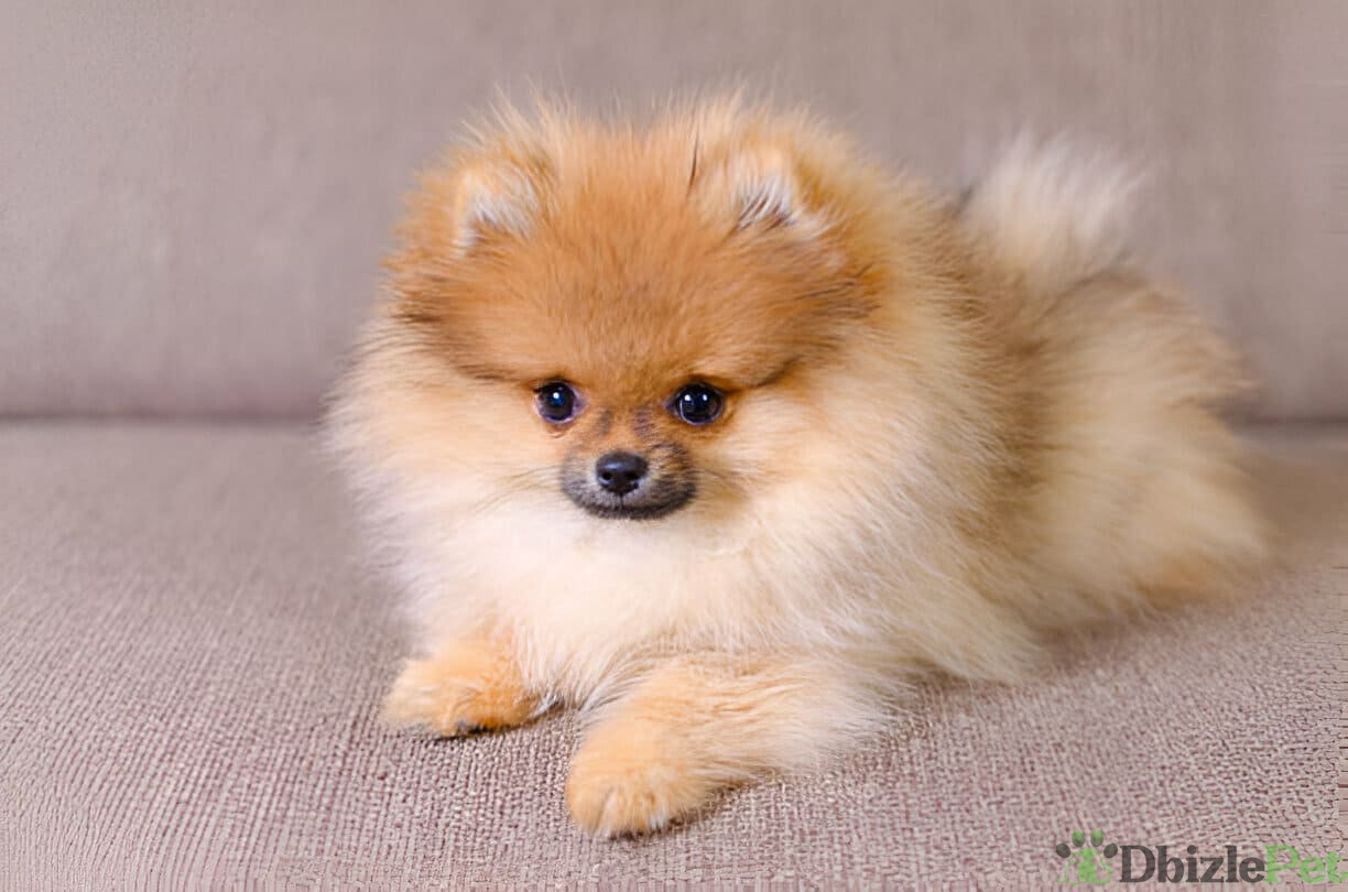 [GetPaidStock_com]-67dd57a5e7b2f