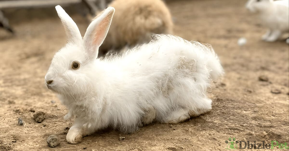 [GetPaidStock_com]-67a0848ae0690