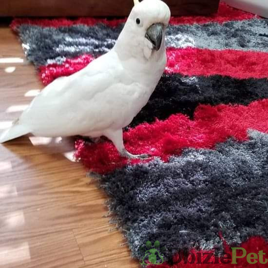 FB_IMG_1717934566086