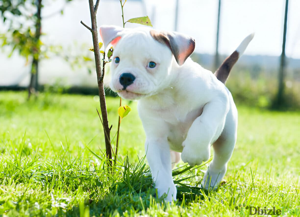 [GetPaidStock_com]-67dd63af0bd34