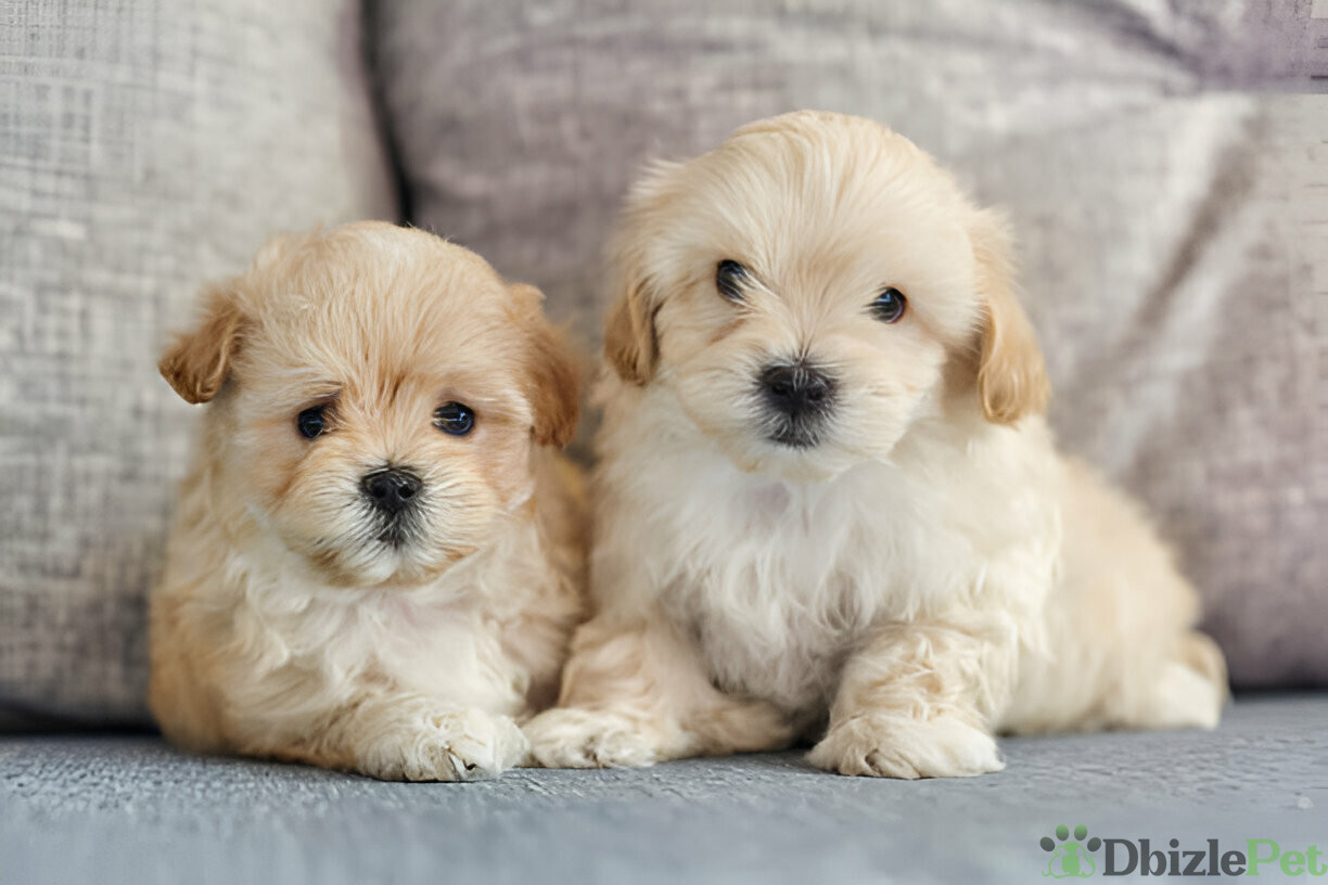 [GetPaidStock_com]-679b6e535932b