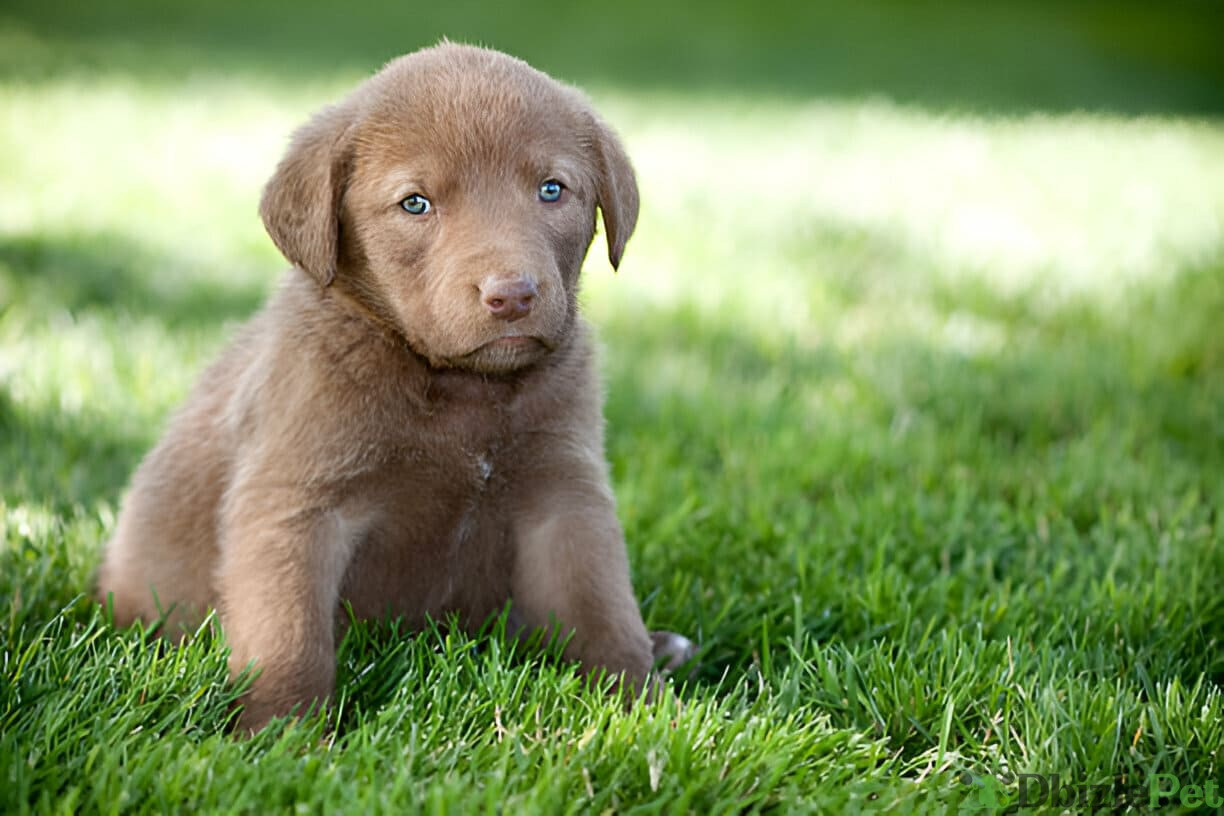 [GetPaidStock_com]-679b6155208ca