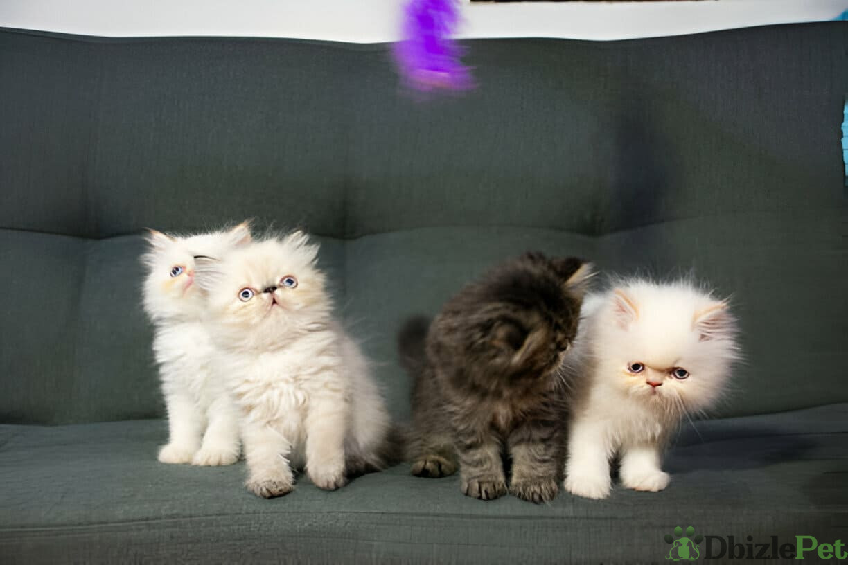 [GetPaidStock_com]-679c6a886a444