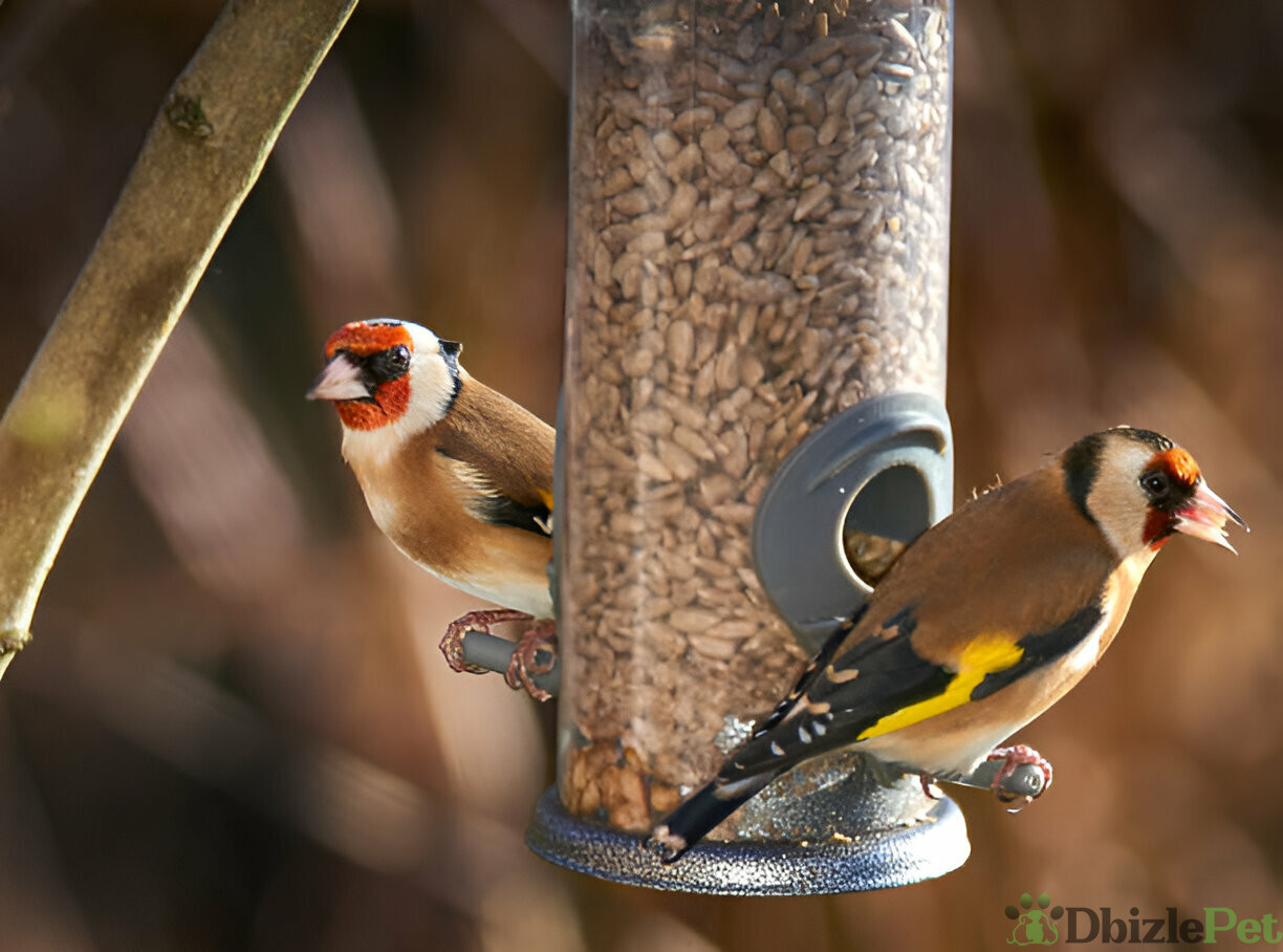 [GetPaidStock_com]-679cb97e6db37