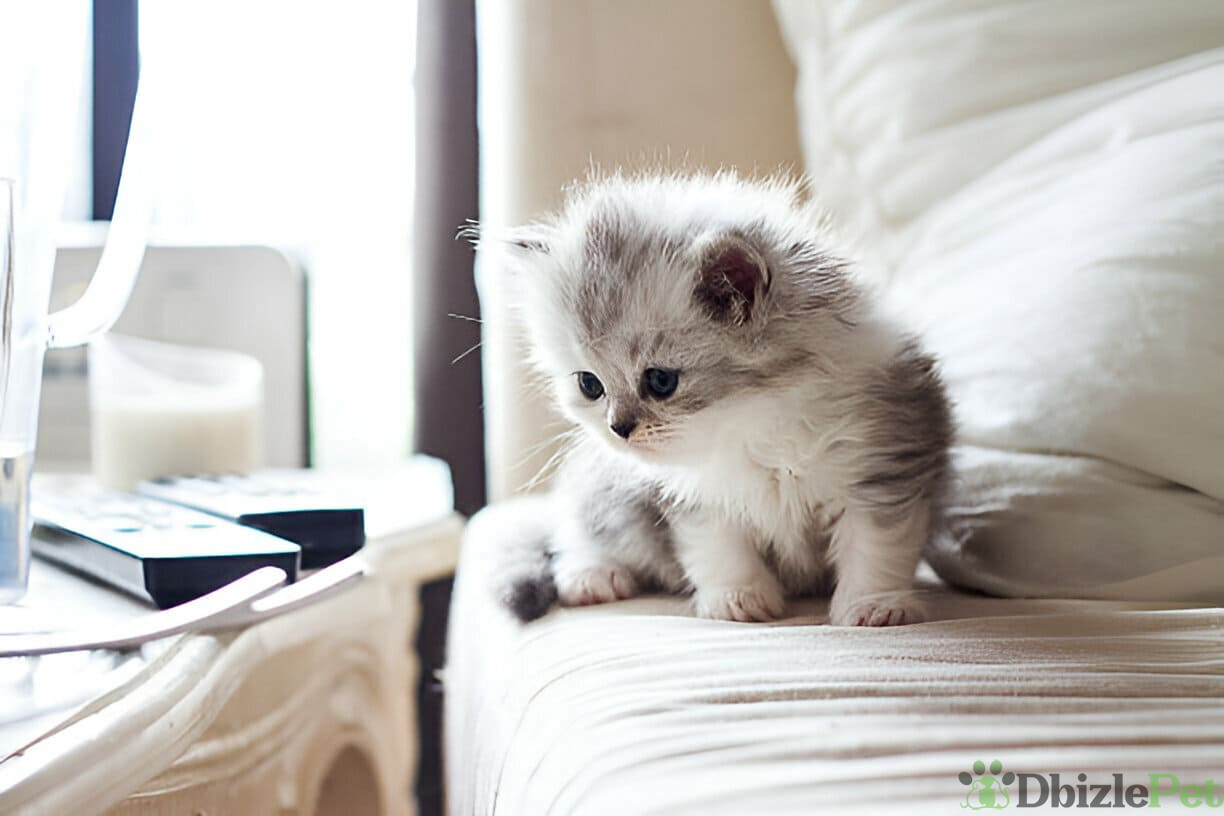 [GetPaidStock_com]-67dd6c5da32b6 (1)