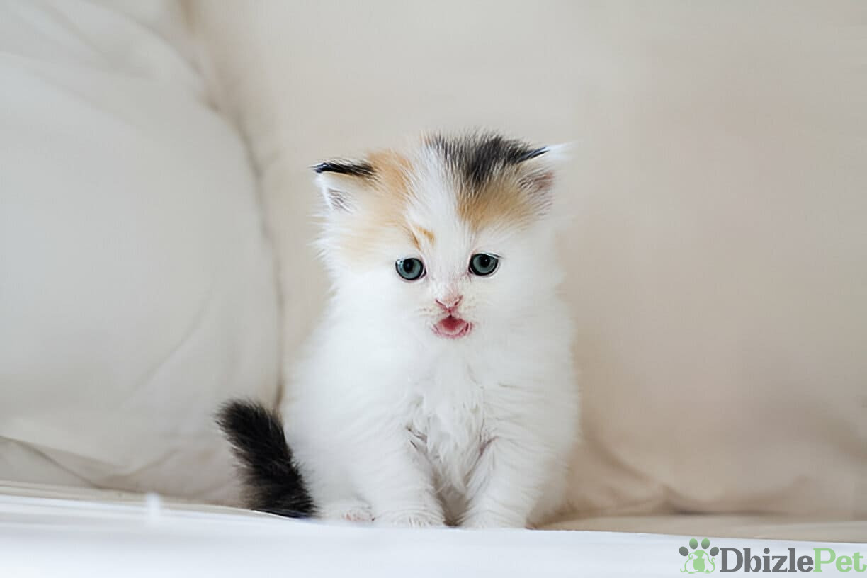 [GetPaidStock_com]-67dd6cc6ad98d (1)