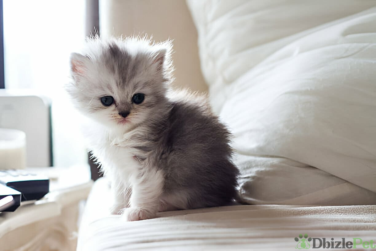 [GetPaidStock_com]-67dd6cec42bbd (1)