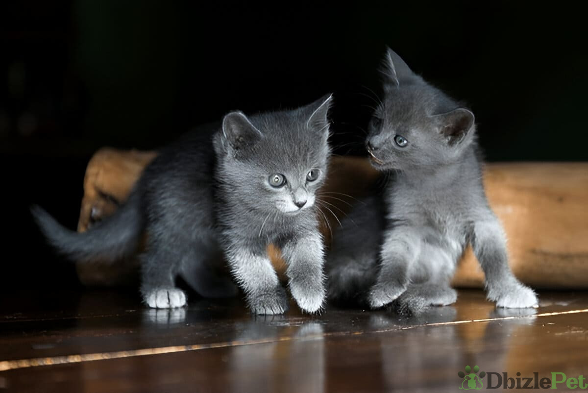 [GetPaidStock_com]-67a1e9ced52da