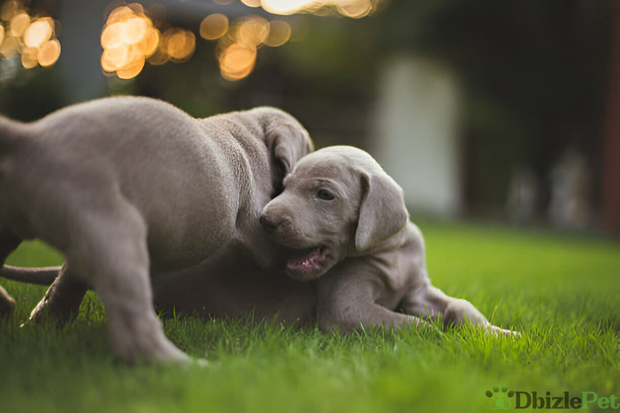 [GetPaidStock_com]-679b52d4efaa6