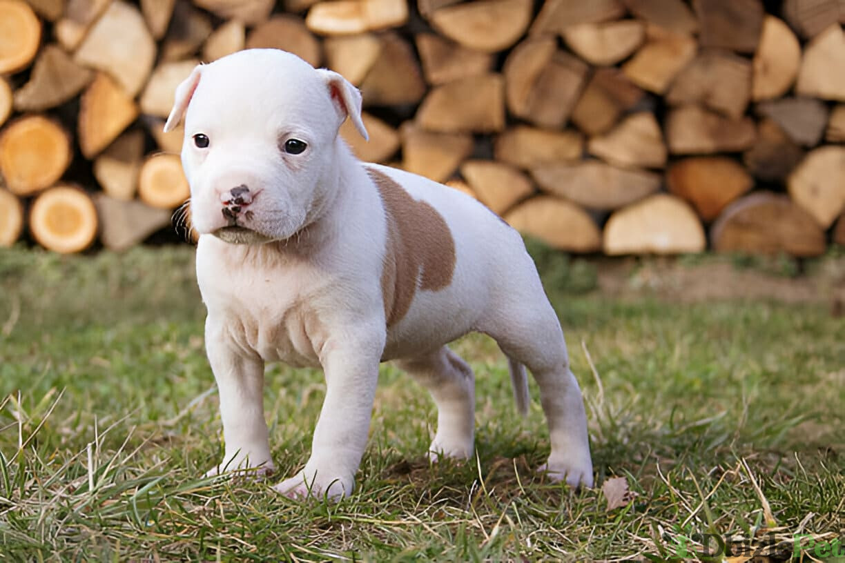 [GetPaidStock_com]-67dd63e69aaef