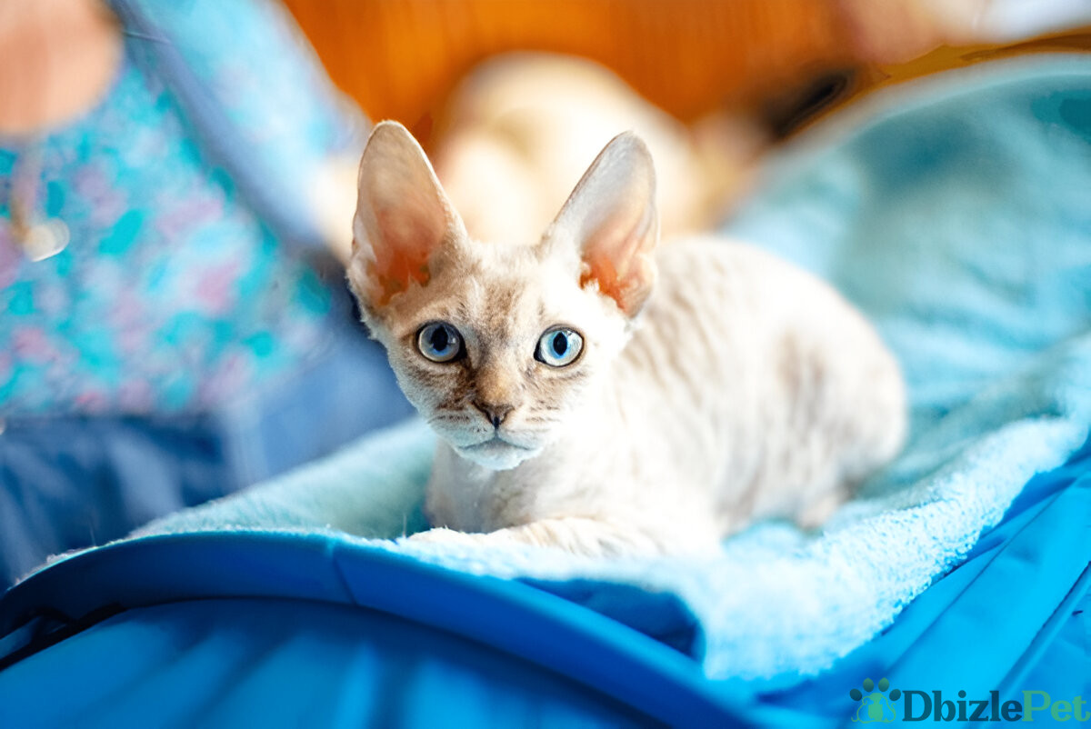 [GetPaidStock_com]-679c7ea99a063