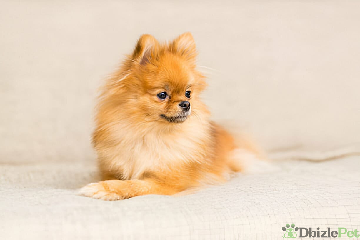 [GetPaidStock_com]-67dd58e9f3259