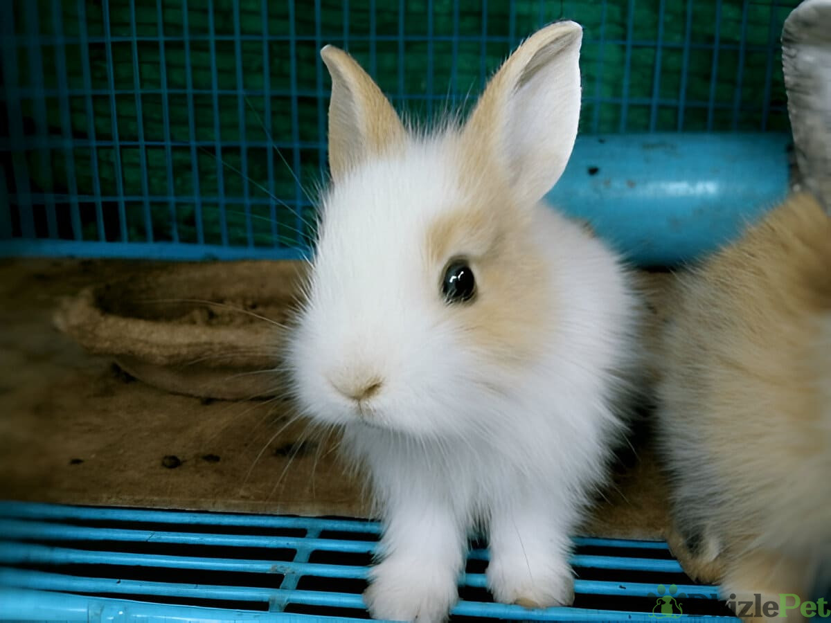 [GetPaidStock_com]-67a085232ab3e