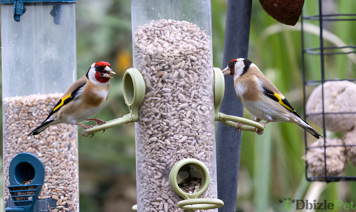 [GetPaidStock_com]-679cb99d8bdd3