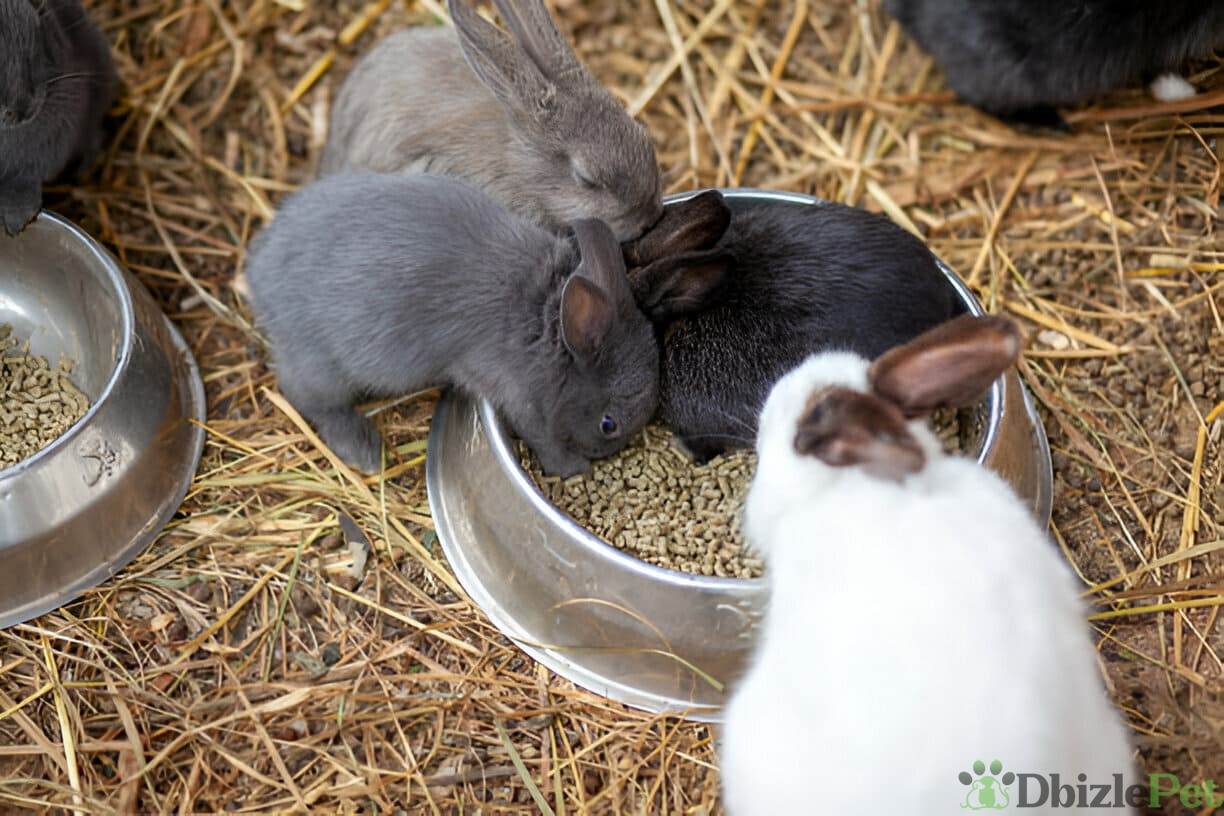 [GetPaidStock_com]-67a080126f464