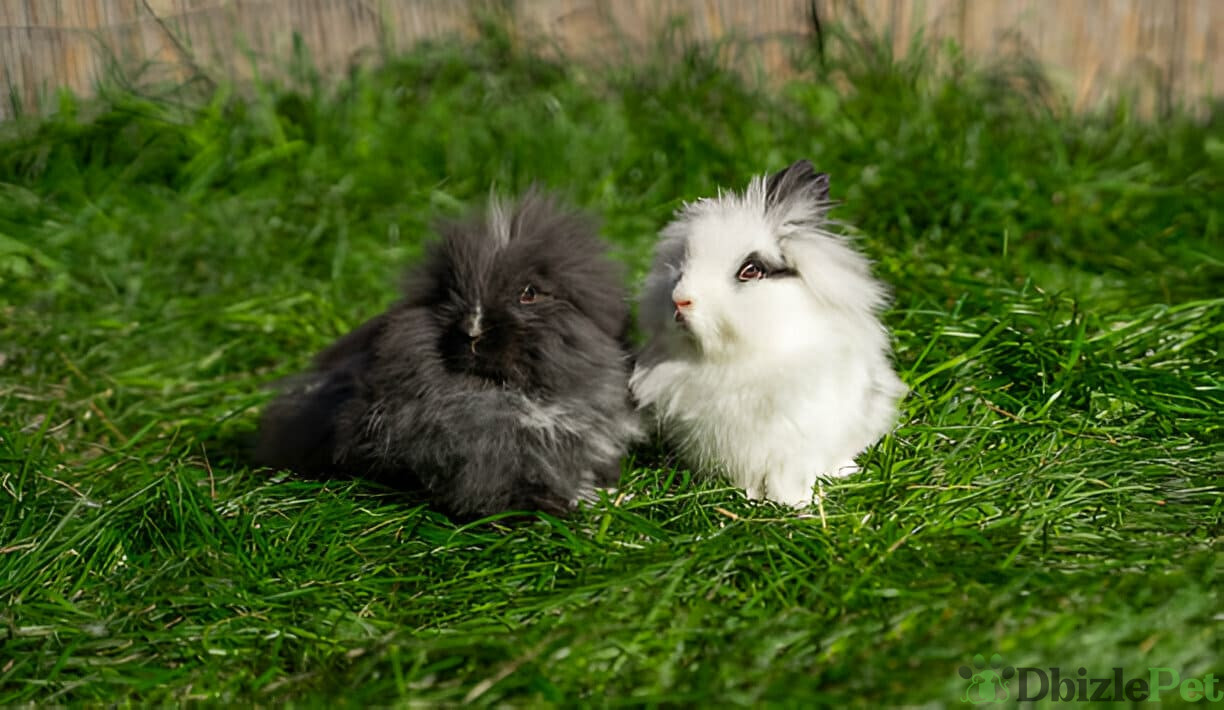 [GetPaidStock_com]-67a0838411a98