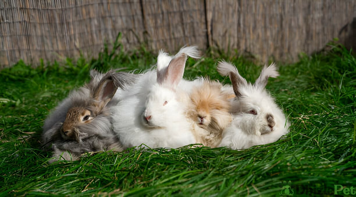 [GetPaidStock_com]-67a084108df75